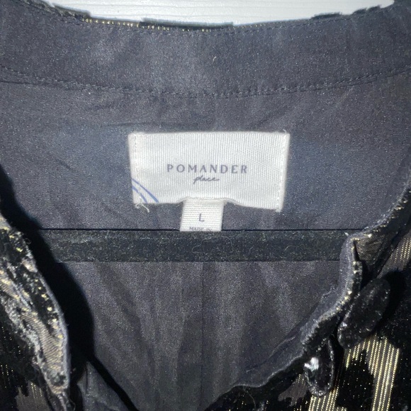 POMANDER PLACE
Metallic Velvet Burnout Samantha Dress - Picture 3 of 4